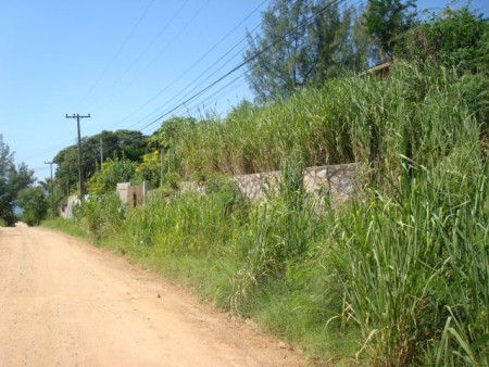 TA-005 - ÁREA - BAIRRO PONTA DA AREIA